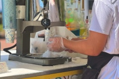 day-to-day-gallery-15