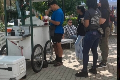 day-to-day-gallery-19